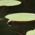 PA200551